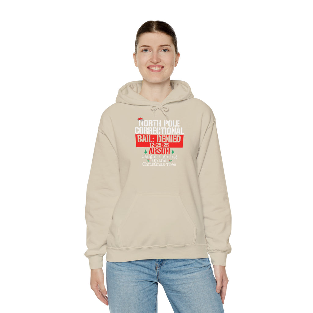 Naughty North Pole Hoodie - Christmas Humor Sweatshirt for Holiday Cheer